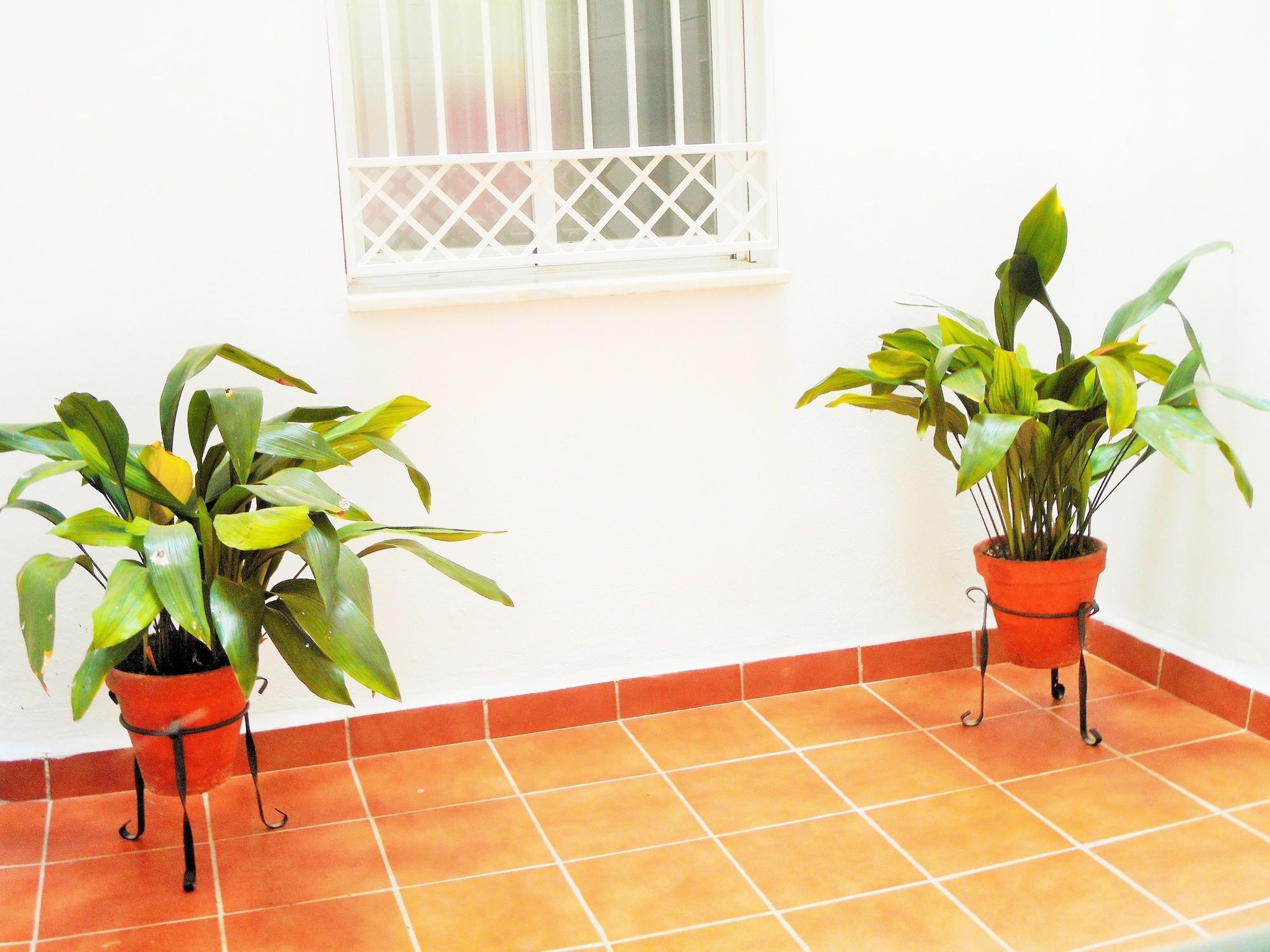 Bed and breakfast The Martin House & Baño Privado Granada
